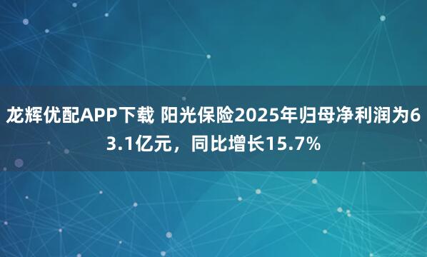 龙辉优配APP下载 阳光保险2025年归母净利润为63.1亿元，同比增长15.7%