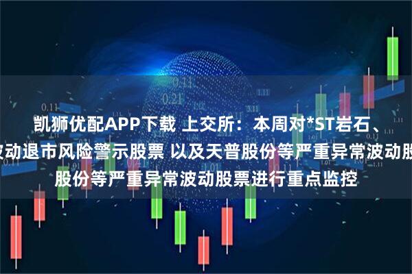 凯狮优配APP下载 上交所：本周对*ST岩石、*ST正平等异常波动退市风险警示股票 以及天普股份等严重异常波动股票进行重点监控